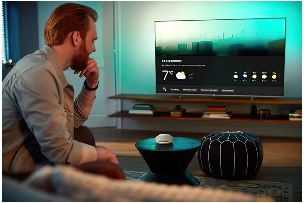 Telewizor Philips 50PUS7956/12 50" 4K Ultra HD