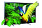 Telewizor Sony KDL46HX750 46" Full HD