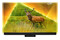 Telewizor Philips 55PML9308 55" 4K Ultra HD