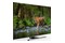 Telewizor JVC LT55VU8000 55" 4K Ultra HD