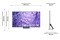 Telewizor Samsung QE75QN700CT 75" 8K Ultra HD