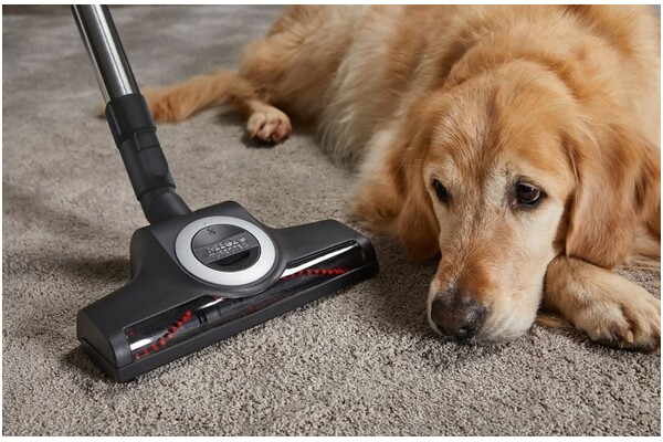 Odkurzacz MIELE SDBF5 Compact C2 Cat&Dog tradycyjny workowy czerwony
