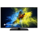 Telewizor GoGEN TVF40M340 40" Full HD