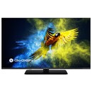 Telewizor GoGEN TVF43M340STWEB 43" Full HD