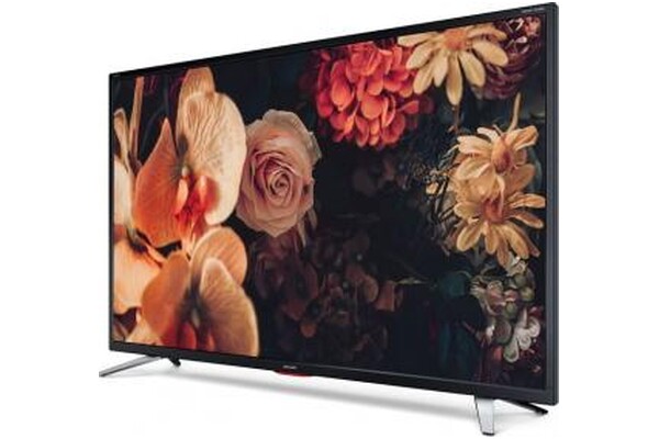 Telewizor Sharp 42CG5E 42" Full HD