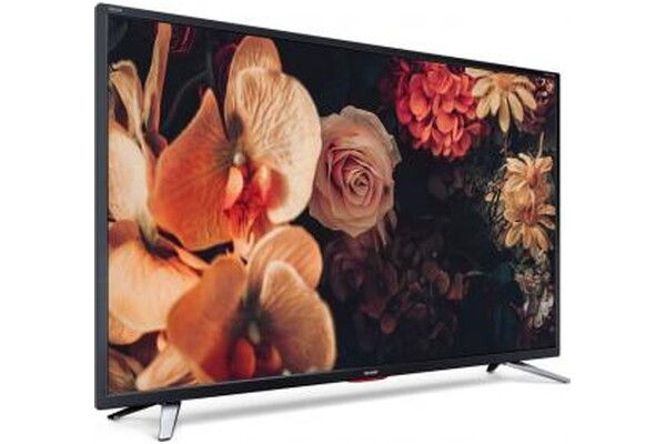 Telewizor Sharp 42CG5E 42" Full HD