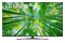 Telewizor LG 50UQ81003LB 50" 4K Ultra HD