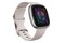 Smartwatch FITBIT Sense 2 srebrny