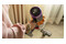 Odkurzacz DYSON V15 Absolute Detect pionowy bezworkowy 660W Szaro-czerwony