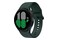 Smartwatch Samsung Galaxy Watch 4 LTE