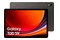 Tablet Samsung Galaxy Tab S9 11" 12GB/256GB, grafitowy