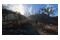 Fallout 4 ESD PC