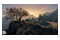 Grand Theft Auto V PC
