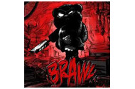 Dobra Brawl PC