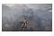 ELEX II PC