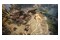 Titan Quest II Xbox (Series X)