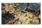 Titan Quest II Xbox (Series X)