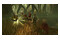 Jumanji Dzikie Przygody PlayStation 5