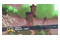 Smerfy Kart Xbox (One/Series S/X)