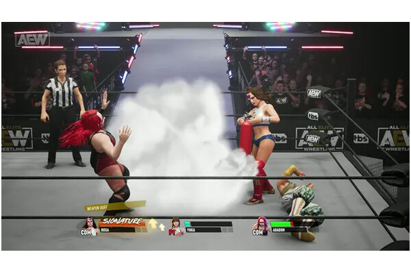 AEW Fight Forever PlayStation 4