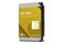 Dysk wewnętrzny WD Gold HDD SATA (3.5") 14TB