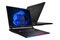 Laptop MSI Raider GE78HX 17" Intel Core i9 13980HX NVIDIA GeForce RTX 4080 32GB 2048GB SSD M.2 Windows 11 Home
