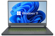 Laptop MSI Delta 15 15.6" AMD Ryzen 7 5800H AMD Radeon RX 6700M 16GB 1024GB SSD M.2 Windows 11 Home