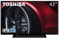 Telewizor TOSHIBA 43L3163DG 43" Full HD