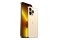 Smartfon Apple iPhone 13 Pro Max 5G złoty 6.7" 6GB/1000GB