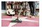 Odkurzacz Karcher DS6 Plus tradycyjny z pojemnikiem 650W biało-czarny