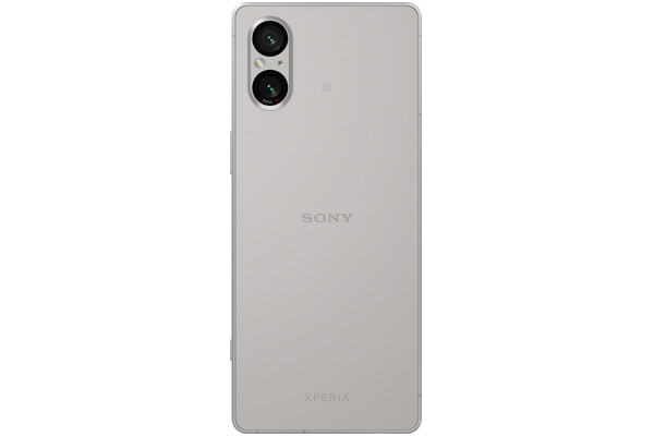 Smartfon Sony Xperia 5 V 5G platynowy 6.1" 8GB/128GB