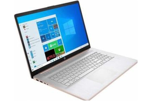 Laptop HP HP 17 17.3" Intel Core i3 1125G4 Intel UHD G4 8GB 256GB SSD M.2 Windows 10 Home