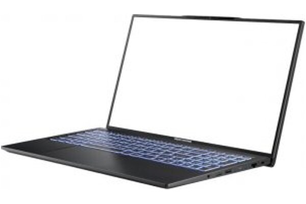 Laptop Dream Machines 17.3" Intel Core i5 1240P INTEL Iris Xe 16GB 512GB SSD M.2