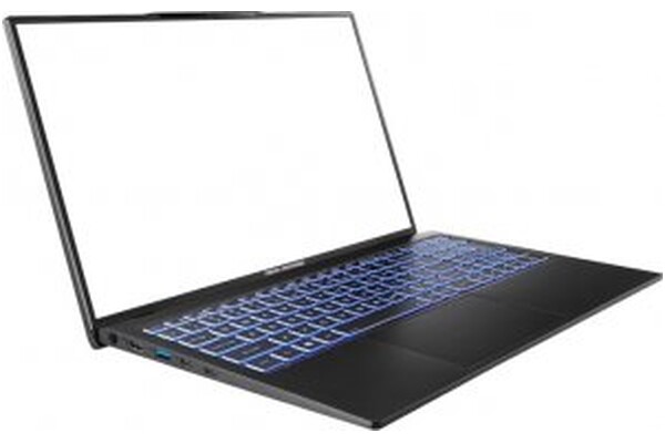 Laptop Dream Machines 17.3" Intel Core i5 1240P INTEL Iris Xe 8GB 512GB SSD M.2