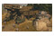 Iron Harvest Edycja Kompletna Xbox (Series X)