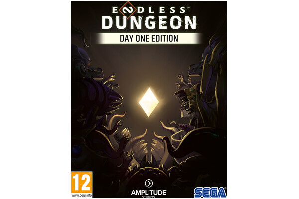 Endless Dungeon Edycja Premierowa PC