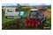 Farming Simulator 22 Edycja Premium Expansion PC