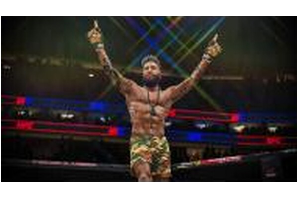 EA Sports UFC 4 PlayStation 4