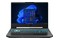 Laptop ASUS TUF Gaming F15 15.6" Intel Core i5 11400H NVIDIA GeForce RTX2050 16GB 512GB SSD NVMe Windows 11 Home