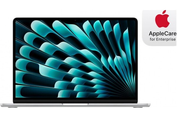 Laptop Apple MacBook Air 13.6" Apple Apple M3 (8 rdz.) 8GB 256GB SSD macOS