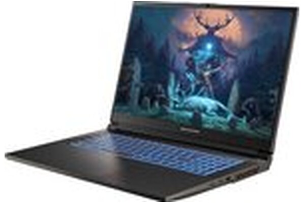 Laptop Dream Machines 17.3" Intel Core i7 14700HX NVIDIA GeForce RTX 4050 16GB 1024GB SSD