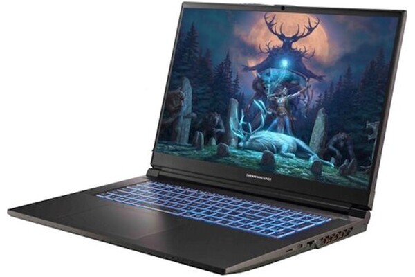 Laptop Dream Machines 17.3" Intel Core i7 14700HX NVIDIA GeForce RTX 4060 32GB 1024GB SSD