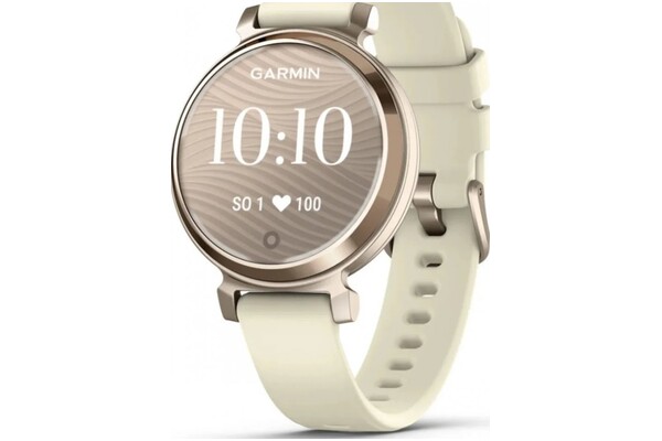 Smartwatch Garmin Lily 2