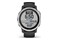 Smartwatch Garmin Fenix 6s Solar