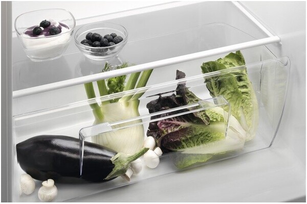 Lodówka Electrolux LTB1AF14W0