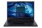 Laptop ACER TravelMate P2 15.6" Intel Core i3 1215U INTEL UHD 8GB 256GB SSD M.2 Windows 11 Professional