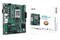 Płyta główna ASUS A620M-C Pro Socket AM5 AMD A620 DDR5 miniATX