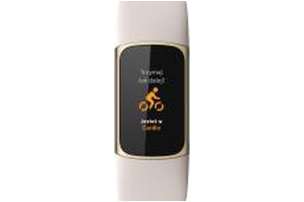 Smartwatch FITBIT Charge 5 szary