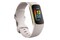 Smartwatch FITBIT Charge 5 szary