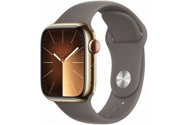 Smartwatch Apple Watch Series 9 szary
